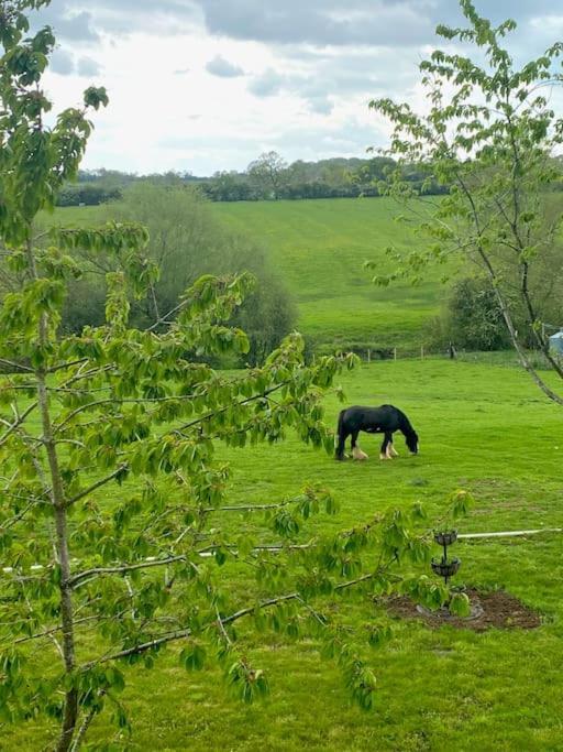 فيلا Field View Braunston  المظهر الخارجي الصورة